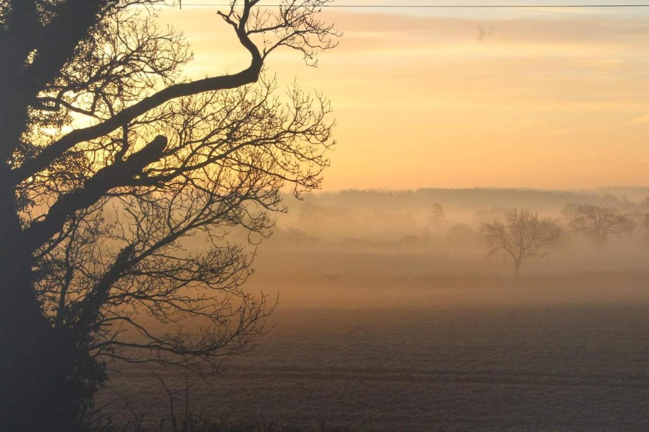 3 Vicarage Cottages Bruisyard Air Manage Suffolk 萨克斯曼德姆 外观 照片